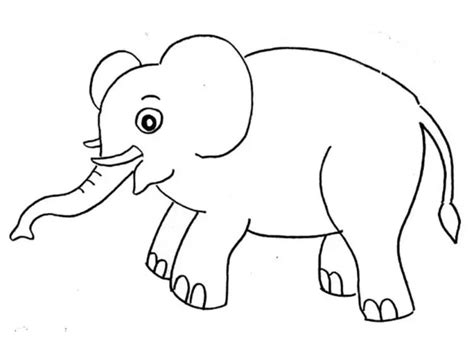 Menggambar Hewan Cara Melukis Gajah Dengan Mudah 7 Cara Menggambar