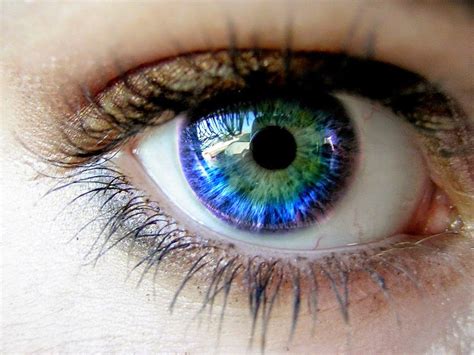 This Is How Human Eyes Get Their Color And Its Simply Amazing