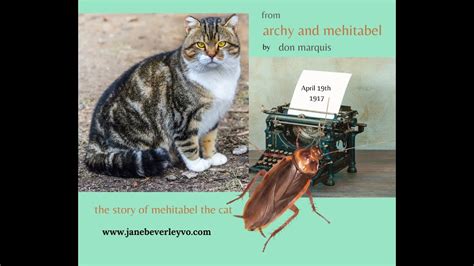 Mehitabel The Cat From Archy And Mehitabel By Don Marquis Youtube