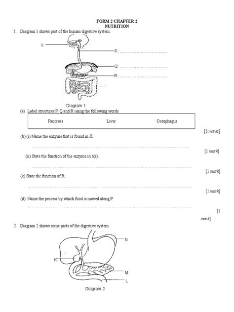 English as a second language (esl). Form 2 Science Exercise By Kelvin - Chapter 2 | Food And ...