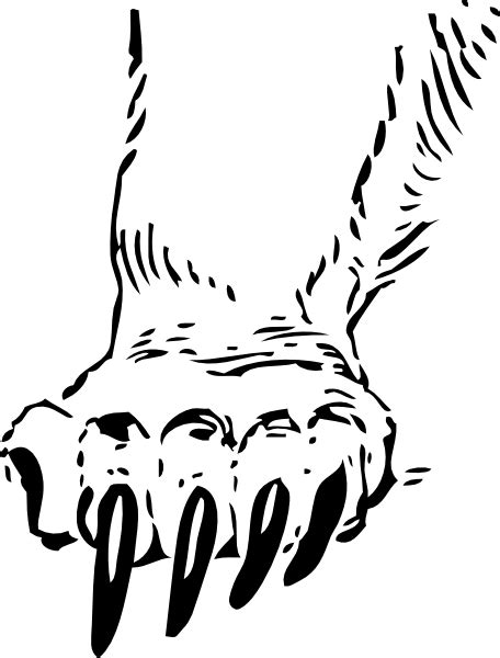 Bear Claw Vector At Getdrawings Free Download