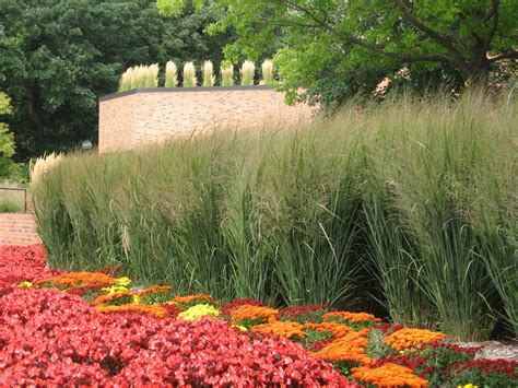 Fabric, framework, fittings and gates. Northwind switchgrass in landscape - I want to use this to ...