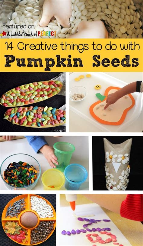 14 Fun Things To Do With Leftover Pumpkin Seeds With Kids Seed