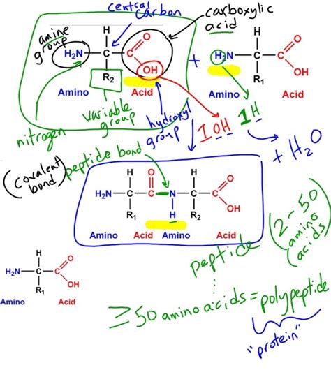 As atul explains, the van der. Organic Molecules - Mel Burgess at CALC