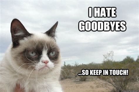 Farewell {meme} ft.michael afton (au!!) Goodbye cat Memes