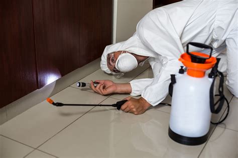 Pest Control Dubai | Best Pest Control services in Dubai | Bur Dubai