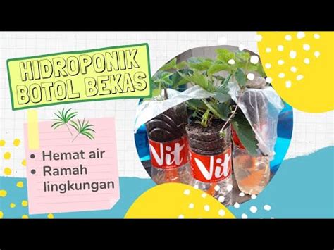 Botol oli samping tabung oli samping tabung air radiator universal. Hidroponik Botol Bekas HEMAT AIR RAMAH LINGKUNGAN ...