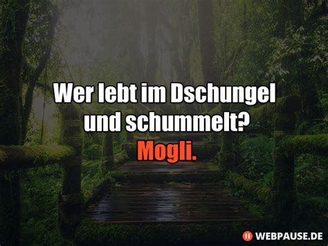Iphone die 29 witzigsten sirisprüche handy bild. 15 Kurze Anti-Witze und Sprüche, die zum Totlachen sind ...
