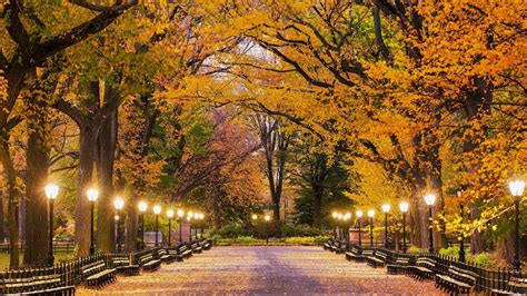 Autumn Central Park New York Wallpapers Wallpaper Cave