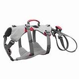 Climbing Harness For Dogs Images
