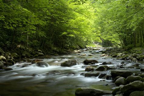 Peaceful River At Great Smoky Mountains Photograph By Darrell Young