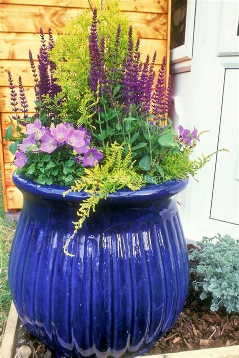 Perennial Plant Deko And Container Garden On Pinterest