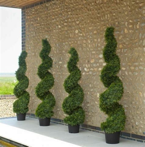 Maybe you would like to learn more about one of these? Artificial 150cm / 5ft Cedar Spiral Topiary Plant Outdoor ...
