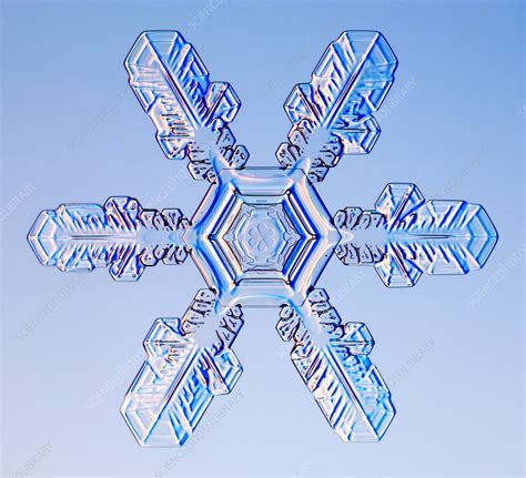 Snowflake Stock Image E1270438 Science Photo Library