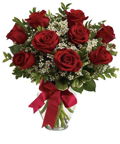 Consulta il nostro catalogo di mazzi di rose e risparmia acquistando online con italian flora. 9 rose rosse con bocciolo grande con gypsophila e verde ...