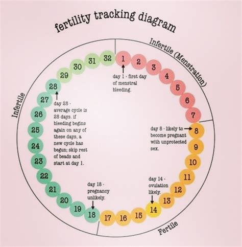 How Many Of You Menstruating Humans Are Aware Of Your Fertility Cycle Have You Had Success With