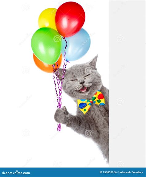 Happy Cat Holding Balloons And Peeking From Behind Empty Board