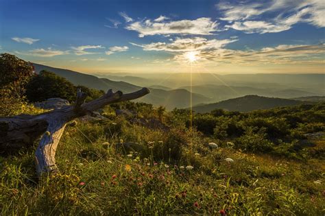 Timber Hollow Overlook Shenandoah National Park Virginia Usa