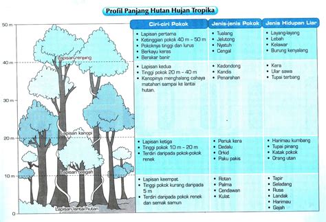 Geografi fizikal dan manusia tema 4 : MUDAHNYA GEOGRAFI: NOTA