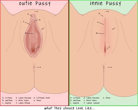 Guys Are Vulvas Shaped As Outies Unattractive Sexuality