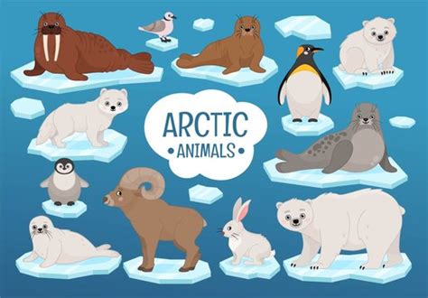 Arctic Tundra Landscape Animals