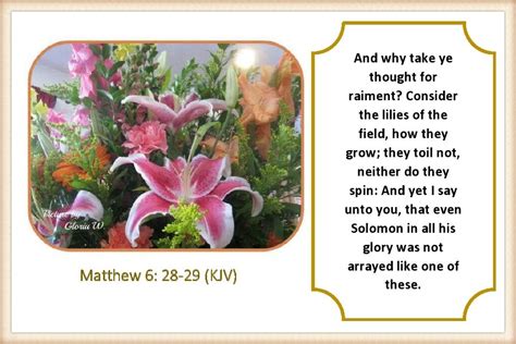 Matthew 6 28 29 Kjv Finished Picture Made By Gloria W Kjv