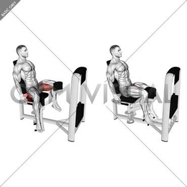 Lever Seated Hip Adduction Gym Visual