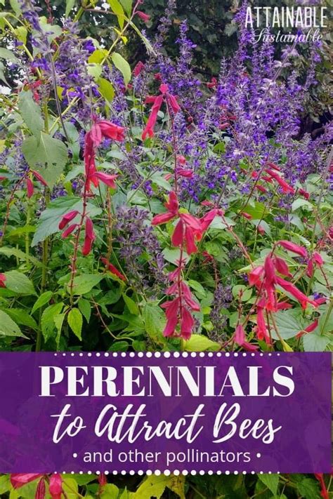We did not find results for: Attract bees and other pollinators to your garden with ...