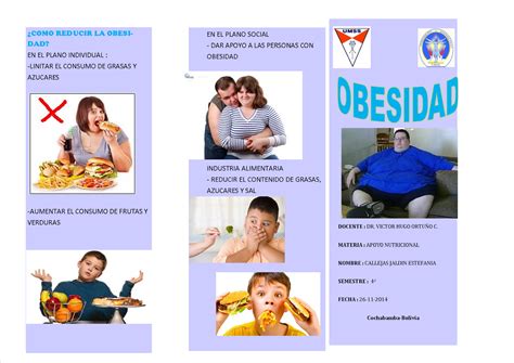 Obesidad Triptico En Espa Ol