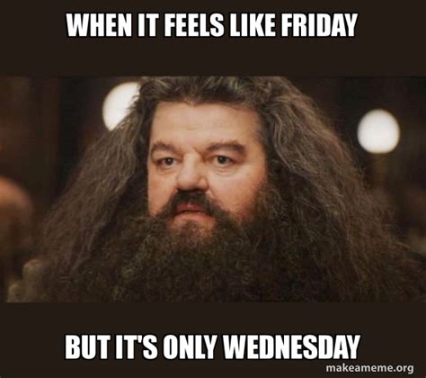 When It Feels Like Friday But Its Only Wednesday Hagrid I Should