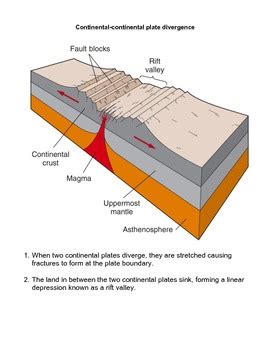 Learn vocabulary terms and more with flashcards games and other study tools. Tectonic Plate Boundaries - Activity and Worksheet by ...