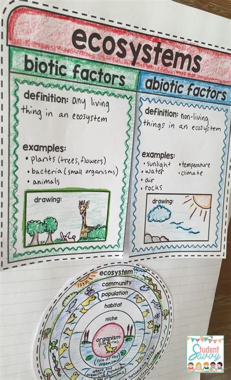 Ecosystems Distance Learning Interactive Notebook Ecology Middle