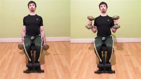 Seated Hammer Curls With Dumbbells Pros And Cons
