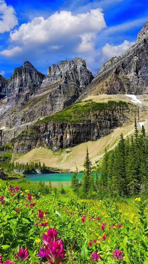 Góry Nad Jeziorem Iceberg Lake W Parku Narodowym Glacier Tapeta Na