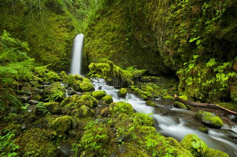 Waterfall In The Columbia River Gorge Oregon Usa Stock Image Image