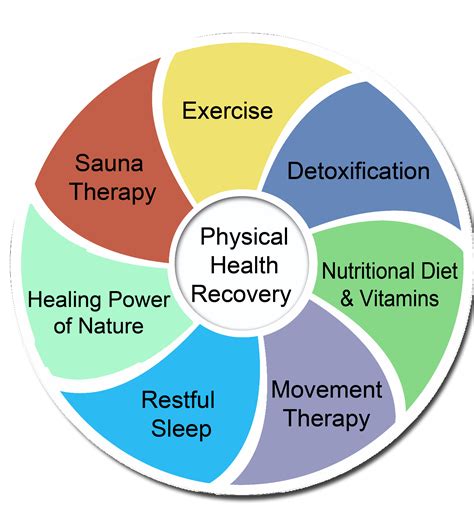 Immunity For Healthy Livingrole Of Healthy Diet Exercisesleep And