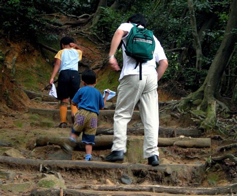 Day Hiking Trails Top 10 Tips To Ensure A Successful Day Hike