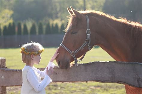 Free Photo Little Girl Horse Riding School Free Image On Pixabay