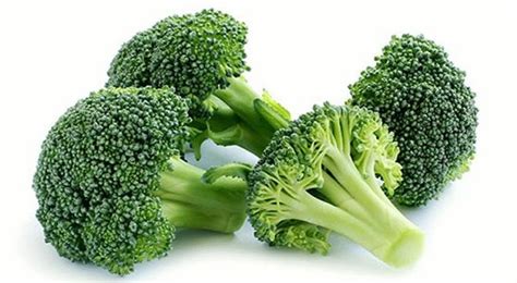 Lượt xem 15 n9 tháng trước. 3 RESEP SAYUR BROKOLI UNTUK ANAK ENAK & PRAKTIS