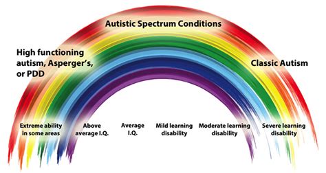 Autism Spectrum Graph