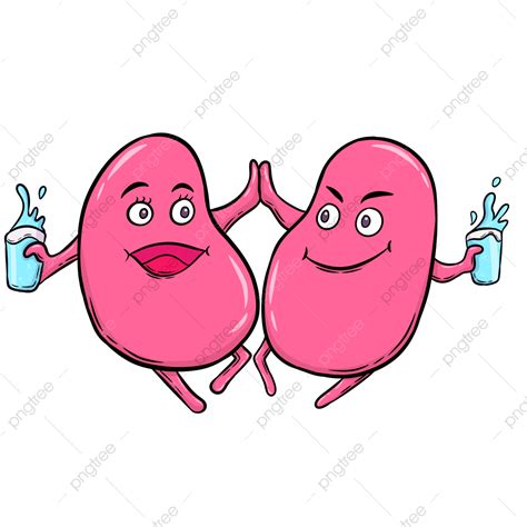 Happy Healthy Kidney Kidney Kidney Organ Kidney Care Png Transparent
