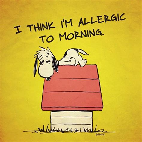 Morning Tired Snoopy Sleep Doghouse Allergies Funny