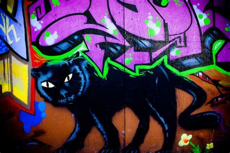 Pin On 15 Cats And Art Street Art Graffiti