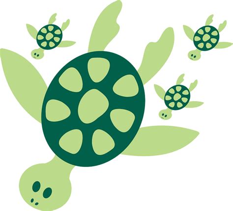 Cartoon Turtle Clipart Free Download Transparent Png Clipart Library