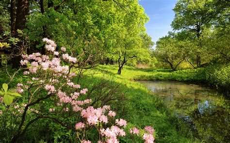 Beautiful Spring River Wallpapers And Images Wallpapers Pictures Photos