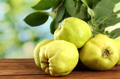Health Benefits Of Quince Fruit
