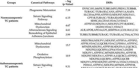 list of differentially expressed proteins involved in top 5 canonical download scientific