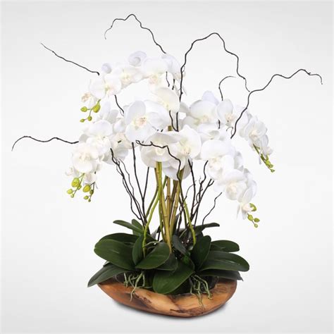 White Real Touch Phalaenopsis Silk Orchid Arrangement In A Natural Teak Bowl Overstock 12401105