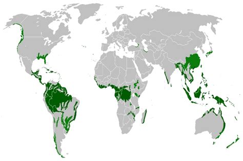 Tropical rainforests are generally located in a belt around the equator of the earth.tropical rain forests are found near the equator and the region of south the taiga and tropical rainforest have a few things in common. Tropical Rainforest Biome: Climate, Location, Plant & Animal