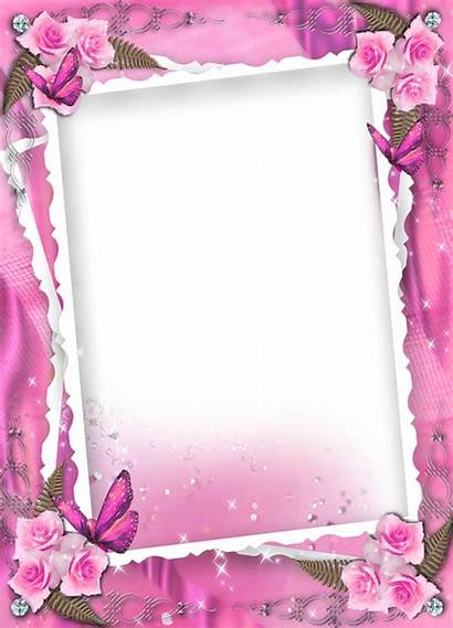 Transparent Pink Frame Roses Frames Butterflies Boarder